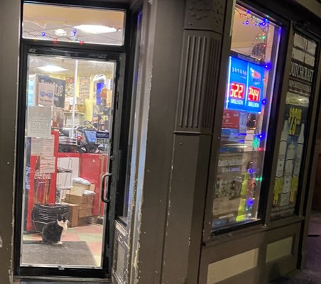 Photo of Quality Mart - Boston, MA, US. Leo lured us in!