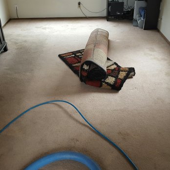 All Pro Carpet Solutions - Carpet Cleaning Near Me