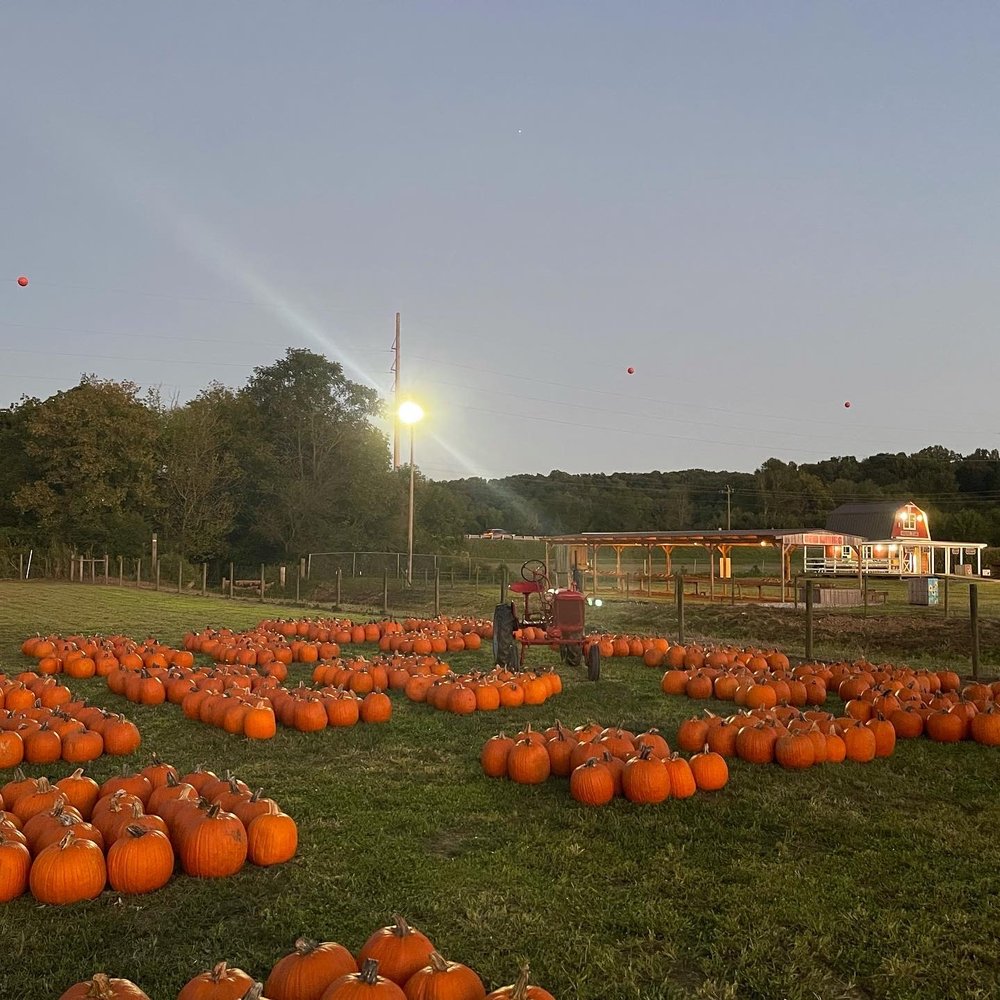Uncle Shucks Corn Maze and Pumpkin Patch - Pumpkin patch - Pumpkin Patches Near Me - Dawsonville, Georgia Uncle Shucks Corn Maze and Pumpkin Patch - Pumpkin patch - Pumpkin Patches Near Me - Dawsonville, Georgia