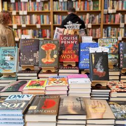 The Book Catapult - Spotlight section