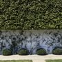Photo of Mozo Lucky Garden