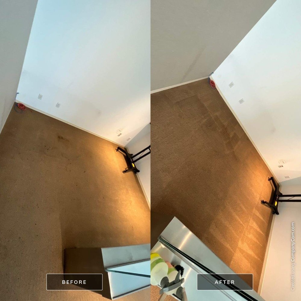 DIAMOND CARPET CARE Updated September 2024 39 Photos & 22 Reviews