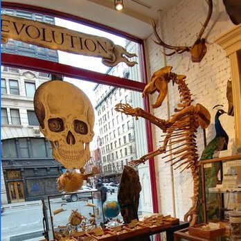 The Evolution Store - Home Decor Near Me - New York, New York