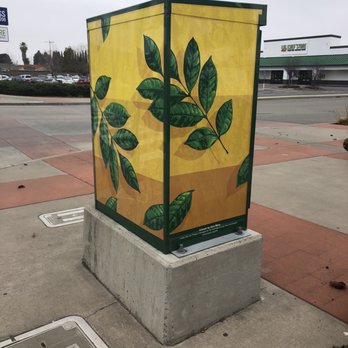 Green Branches Art - Green branches on yellow lack meaning. - Public Art Near Me - San Lorenzo, California Green Branches Art - Green branches on yellow lack meaning. - Public Art Near Me - San Lorenzo, California