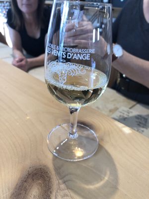 Vignoble Les Vents d'Ange by null