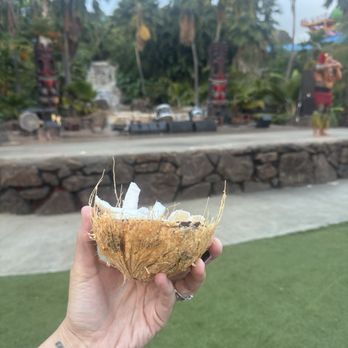 Chief's Luau - Fresh coconut - Performing Arts Near Me - Kapolei, Hawaii