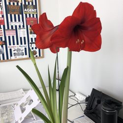 719 Lending - A gift from a friend. Growing our business together.