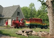 Larry's Lawn Service And Snow Plowing - tree service in Grand Rapids, MI
