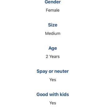 Lost Paws Rescue of Texas - Description of dog - Pet Adoption Near Me Lost Paws Rescue of Texas - Description of dog - Pet Adoption Near Me