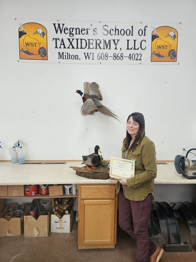 Wegner's School of Taxidermy - taxidermy in Milton, WI
