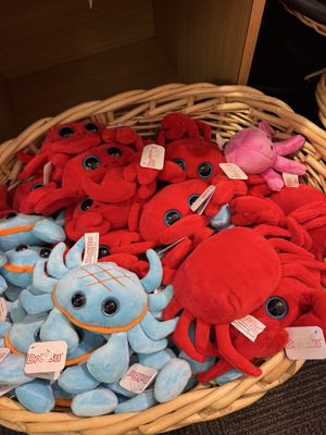 Waikiki Aquarium by null