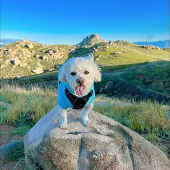 Box Springs Mountain Reserve - Hiking Near Me - Moreno Valley, California Box Springs Mountain Reserve - Hiking Near Me - Moreno Valley, California