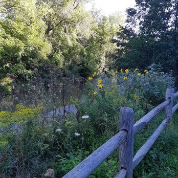 East Don Parkland - 7:30 a.m. Peace, quiet, birds, trees rustling and the Don River swooshing by. Sept. 6/22 - Parks Near Me - Toronto, Ontario East Don Parkland - 7:30 a.m. Peace, quiet, birds, trees rustling and the Don River swooshing by. Sept. 6/22 - Parks Near Me - Toronto, Ontario