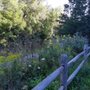 East Don Parkland