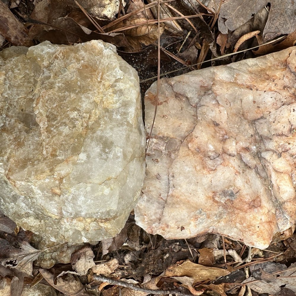 William B Umstead State Park - Rocks - Hiking Near Me - Raleigh, North Carolina William B Umstead State Park - Rocks - Hiking Near Me - Raleigh, North Carolina