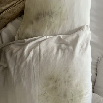 Garza Blanca - Moldy pillows I slept on. - Resorts Near Me - Puerto Vallarta, JAL