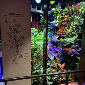 Starbucks Reserve Roastery - Coffee Roasteries Near Me - New York, New York