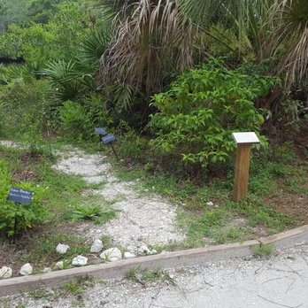 Oscar Scherer State Park - One butterfly garden - Parks Near Me - Osprey, Florida Oscar Scherer State Park - One butterfly garden - Parks Near Me - Osprey, Florida
