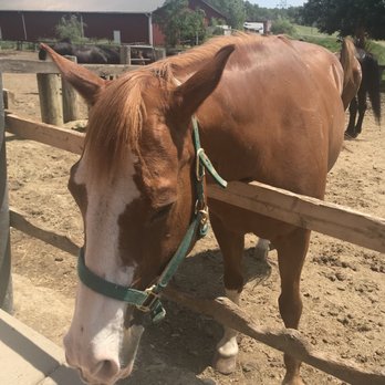 Children's Farm - Tours Near Me - Palos Park, Illinois