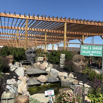 Blue Grass - Nurseries & Gardening Near Me - Rocky View County, Alberta Blue Grass - Nurseries & Gardening Near Me - Rocky View County, Alberta
