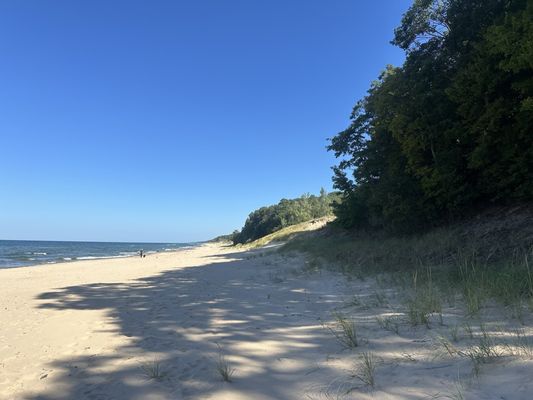 P. J. Hoffmaster State Park by null