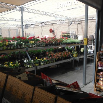 Walmart Garden Center - Walmart Garden Center - Nurseries & Gardening Near Me - North Charleston, South Carolina Walmart Garden Center - Walmart Garden Center - Nurseries & Gardening Near Me - North Charleston, South Carolina