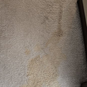 Quick Dry Carpet Cleaning - Before picture - Carpet Cleaning Near Me Quick Dry Carpet Cleaning - Before picture - Carpet Cleaning Near Me