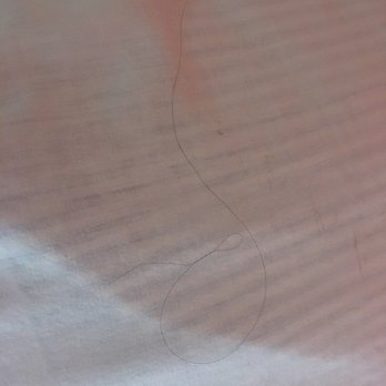 Motel 6 - Gigantic black hair on a pillowcase, I just checked in - Hotels Near Me - Winslow, Arizona