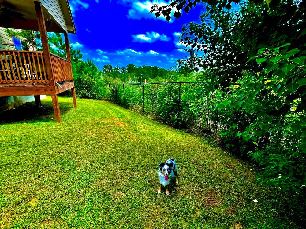 DANIEL L WELCH VETERINARY HOSPITAL Updated October 2024 806 E La