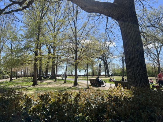 Meridian Hill Park by null