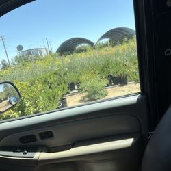 Plenty of fruit trees back there