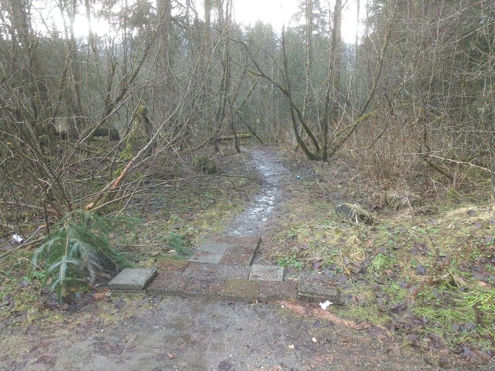 MONTANA CREEK TRAIL 10851 Mendenhall Loop Rd, Juneau, Alaska Hiking