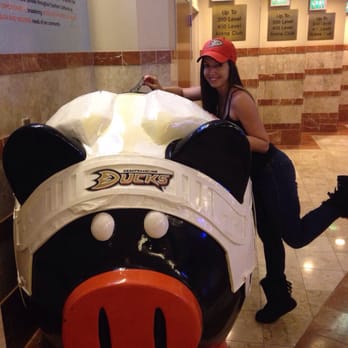 Anaheim Ducks - Donating to puck chop for charity :) - Professional Sports Teams Near Me - Anaheim, California