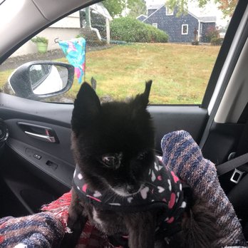 NW Muddy Puppy - Pet Groomers Near Me - Kelso, Washington