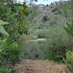 Bluff Trail Park - There are small openings to view the wildlife, but fences and gates restrict access to water so they can safely swim and feed.