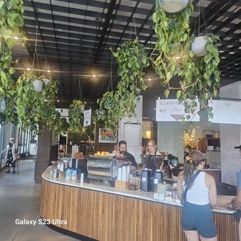Cafe Quiquiriqui - Coffee & Tea Near Me - Tampa, Florida Cafe Quiquiriqui - Coffee & Tea Near Me - Tampa, Florida