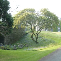 Prideaux Place