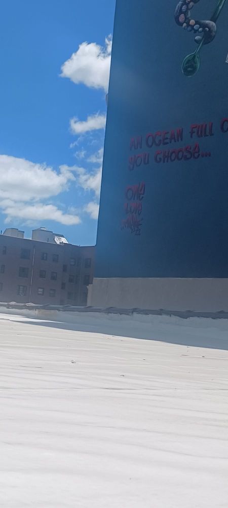 Slide of Survival Tech Handyman