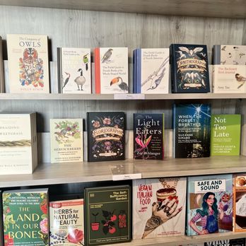 See Which Books - Bookstores Near Me - Hampton, Virginia See Which Books - Bookstores Near Me - Hampton, Virginia