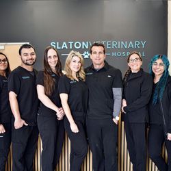 Slaton Veterinary Hospital - Slaton Veterinary Hospital Staff