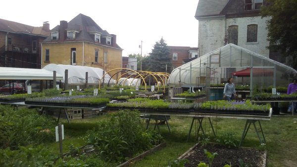Garden Dreams Urban Farm & Nursery - Grow Pittsburgh by null