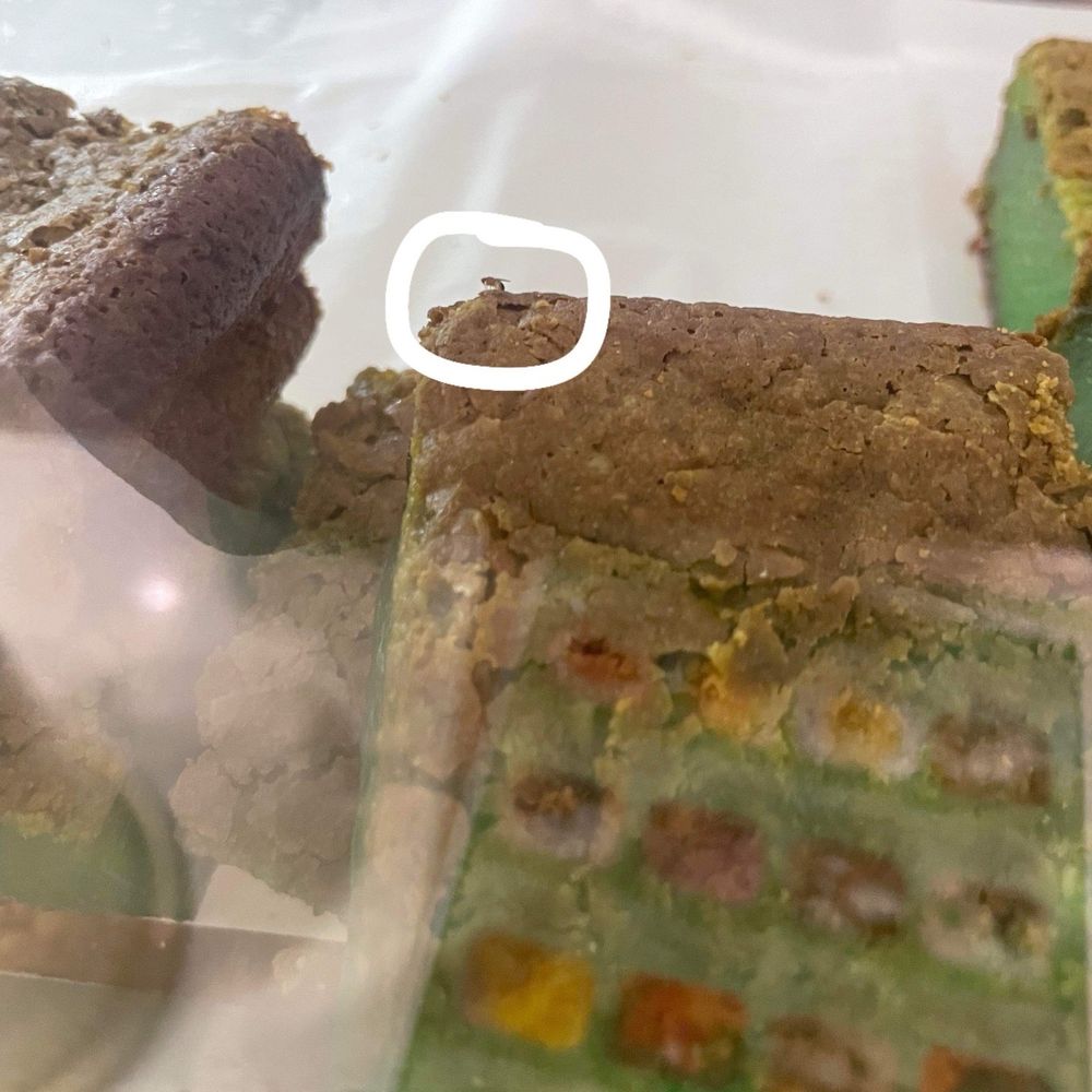 Coco Leaf - Fruit fly on Pandan cake - Coffee & Tea Near Me - Boston, Massachusetts
