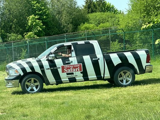 African Lion Safari by null