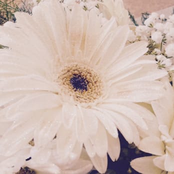Floraland - White glitter on white gerber daisy - Florists Near Me - Alhambra, California Floraland - White glitter on white gerber daisy - Florists Near Me - Alhambra, California
