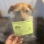 Photo of Delicious Beef Jerky