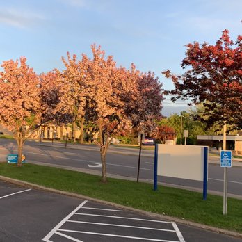 Lunds & Byerlys - Spring and well maintained trees - Grocery Near Me - Wayzata, Minnesota Lunds & Byerlys - Spring and well maintained trees - Grocery Near Me - Wayzata, Minnesota