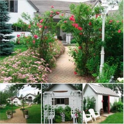 Maidenwood Lodge - Beautiful 80 acre nature preserve with 4 charming B&B rooms. Extremely quiet with amazing views!