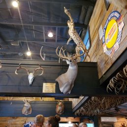 These animals were alive when we got in the list for a table...