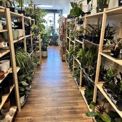 Flora And Folia - Inside (aisle 2)