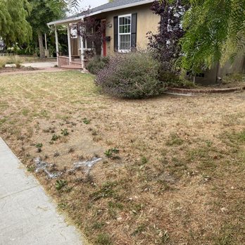 Jesus Lawn Maintenance - Before demo - Lawn Services Near Me - Bellflower, California Jesus Lawn Maintenance - Before demo - Lawn Services Near Me - Bellflower, California